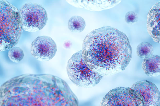 best leukemia specialist in vashi navi mumbai